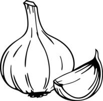 A garlic bulb and a half of a bulb vector