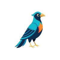 Feathers in Motion A Beautiful Bird Design On White Background vector