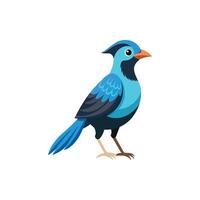 Wings of Wonder A Bird in Flight Illustration Design On White Background vector