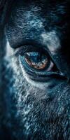 Close-up of a horse's eye revealing intricate details photo