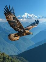 Golden eagle soaring above majestic mountain range photo