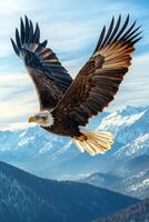 Majestic eagle soaring over snowy mountain peaks in daylight photo
