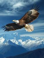 Bald eagle soaring above snowy mountains in clear blue sky photo