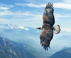 Majestic eagle soaring over mountain landscape in daylight photo