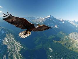 Bald eagle soaring high over majestic mountain range photo