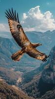 Majestic eagle soaring over mountains during daylight photo