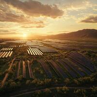 Sunset over vast solar farm in rural landscape photo