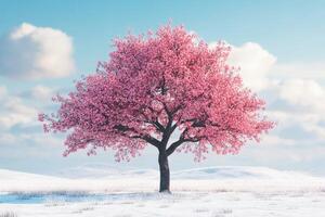 A pink tree stands alone in a snowy field photo