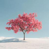 A single pink tree is standing in the snow photo