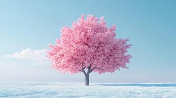 A pink tree stands alone in the snow photo