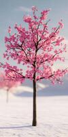 A pink tree in the snow with a blue sky photo