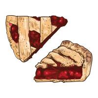 hand drawn slices of pie. Top and side view of fruit pie with stripe crust and fruit filling. Easy to edit and use food assets. vector