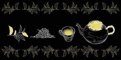 White line art tea from plant to pot. Hand drawn tea illustration. Oolong tea design for online and print tea projects. Outline line art with flat colored details for bar or cafe menu designs. vector