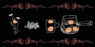 White line art tea from plant to pot. Hand drawn tea illustration. Calendula tea design for online and print tea projects. Outline line art with flat colored details for bar or cafe menu designs. vector