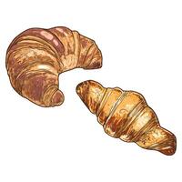 Fresh croissants illustration. Hand drawn food assets with top and side view. Easy to edit and use food assets. vector