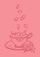 Hand drawn tea poster. Illustration with a side view rose hip falling into a tea mug. Design ready to be used in online and print projects for bar or cafes such as menus or posters. vector