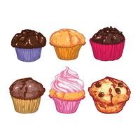 hand drawn muffins with a flat colorful design. Six cupcakes with chocolate drops, fruit cream and vanilla flavor. Easy to edit and use food assets. vector