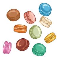 hand drawn colorful macaroons. French sweets with vanilla, chocolate, coffee, caramel flavors. Easy to edit and use food assets. vector