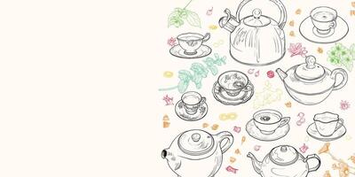 Landscape banner with hand drawn teapots, plants and cups. The illustration is outline only. Teas background with text on the side. Beverages with plants isolated on the background. vector