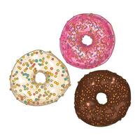 Hand drawn doughnuts. Top view of three donuts with vanilla, berry, chocolate glazes and sprinkles. Easy to edit and use food assets. vector
