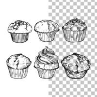 hand drawn muffins with black outline, no fill, with fine details. Six cupcakes with chocolate drops, fruit cream and vanilla flavor. Easy to edit and use food assets. vector