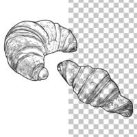 Fresh croissants illustration. Hand drawn food assets with top and side view. Easy to edit and use food assets. Black outline, no fill, with fine details. vector