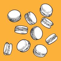 hand drawn colorful macaroons. French sweets with vanilla, chocolate, coffee, caramel flavors. Easy to edit and use food assets. Black outline, white fill in separate groups. vector