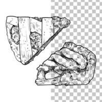 hand drawn slices of pie. Top and side view of fruit pie with stripe crust and fruit filling. Easy to edit and use food assets. Black outline, no fill, with fine details. vector