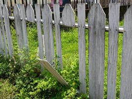 A horizontal shot of rundown white picket fence split in half showing holes photo