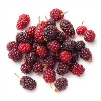 A pile of blackberries on a white background photo