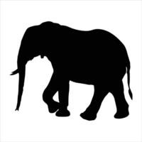 ELEPHANT SILHOUETTE ON A WHITE BACKGROUND vector