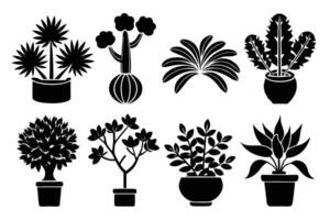 A Illustration of Various Houseplants in Pots vector