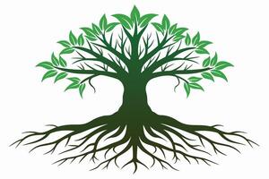 A stylized illustration of a lush tree's roots and branches. vector