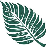 green leaf of a plant or fern or bush without background vector