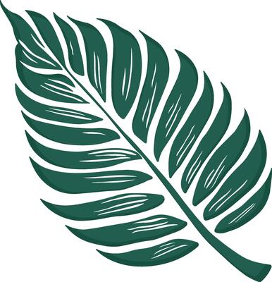 green leaf of a plant or fern or bush without background