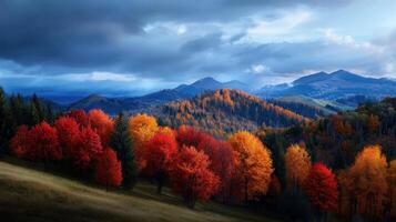 Autumn trees in the mountains with a stormy sky photo