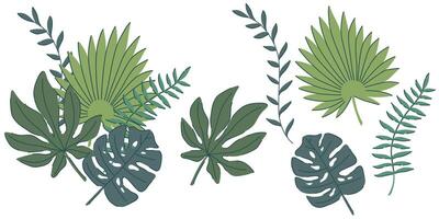 illustration of tropical jungle leaves, featuring monstera, palm, and fern foliage. A botanical themed set with elegant green tones, perfect for invitations, decor, digital art, and patterns vector