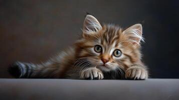 A painting of a kitten with big eyes photo