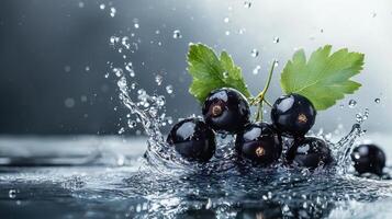 Black currant fruit splashing water photo