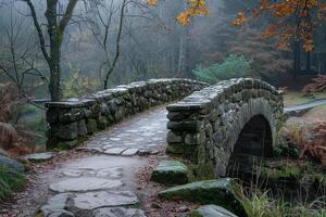 A stone bridge over a river with a path leading to it photo
