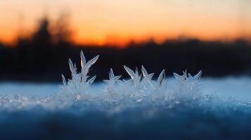 Frosty ice crystals on the ground at sunset photo