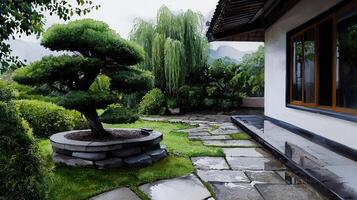 A small tree is in a garden with a stone path photo