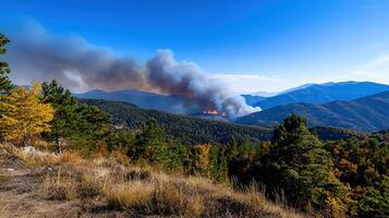 A fire is burning in the mountains photo