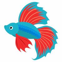 cartoon cute fish betta.Colorful illustration fish on white background Pro . Suitable for children's books on zoology, sticker, mascot vector