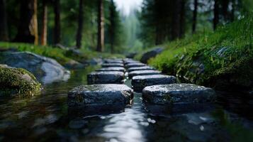 Stepping stones in a stream in a forest photo