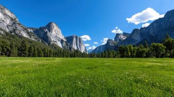 A grassy field with mountains in the background photo