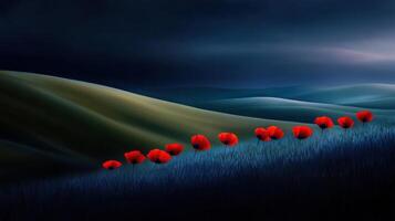 Poppies in the field by james mccormick photo