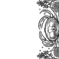 Border frame with crab, lemon and herbs. Hand-drawn illustration. Black and white image of seafood. Separate from the background. For menus, recipe books, packages, labels and banners. vector