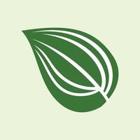 Green leaf icon on white background. Nature symbol. Leaf bones form Allah's calligraphy. nature-themed illustration element design with green leaf nuances vector