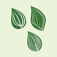 Leaf icon on green background. Leaf set illustration for your design. Leaf bones form Allah's calligraphy. nature-themed illustration element design with green leaf nuances vector